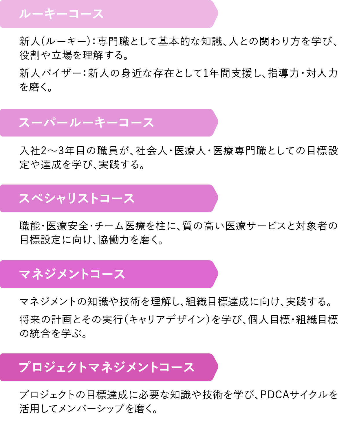 キャリアアッププログラム